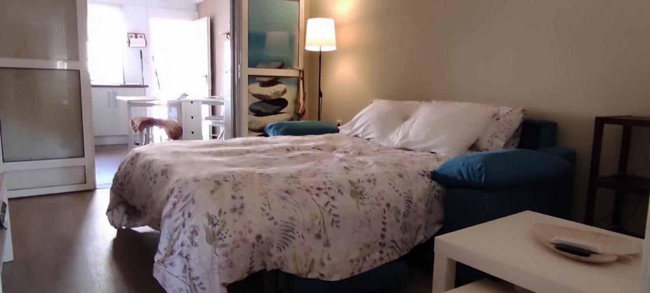Zeus Beach La Mata 또레비에하 외부 사진