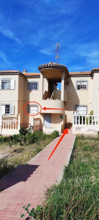 Zeus Beach La Mata 또레비에하 외부 사진