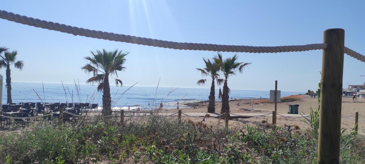 Zeus Beach La Mata 또레비에하 외부 사진